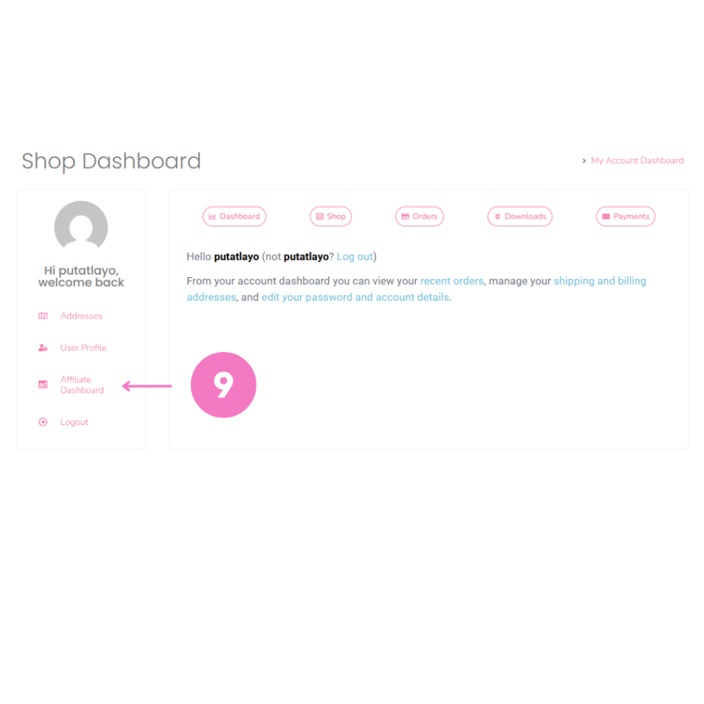 Affiliate Dashboard